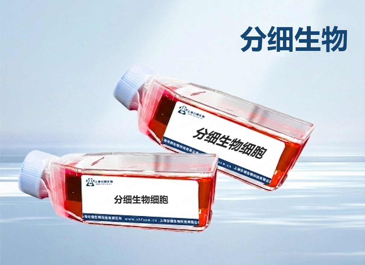 分细生物给大家介绍细胞耗材清洗步骤有哪些